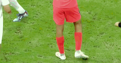 专业HB火博服务